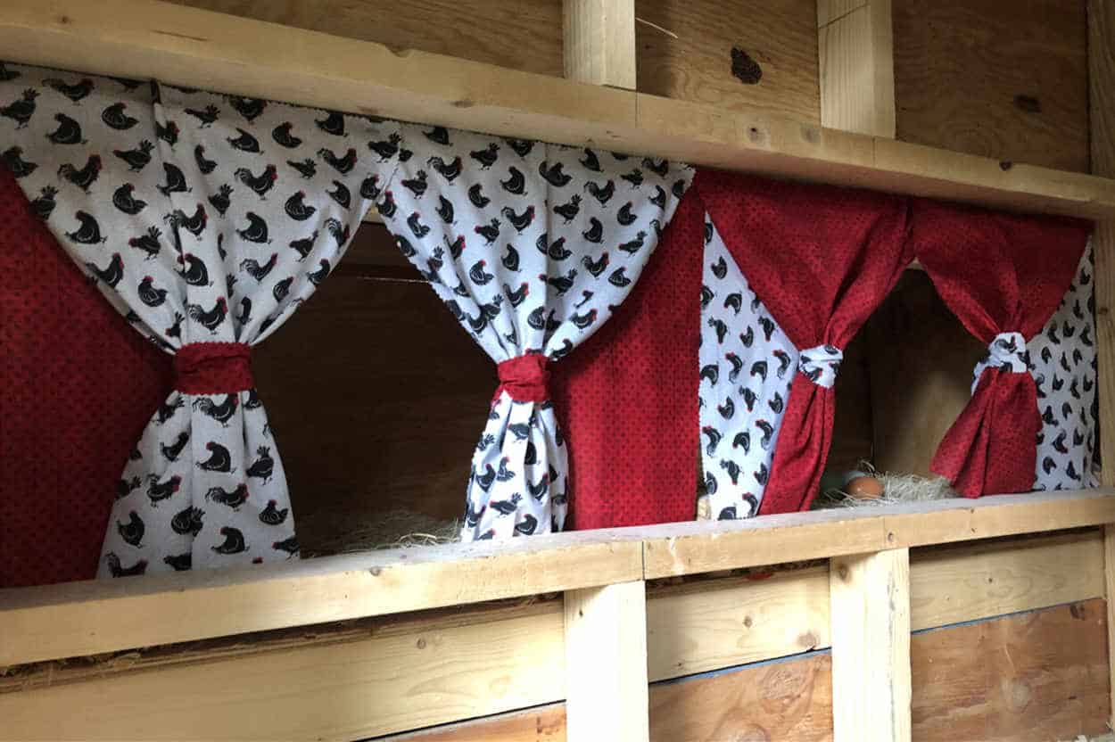 Cozy Nest Boxes to keep chicken warm in the winter