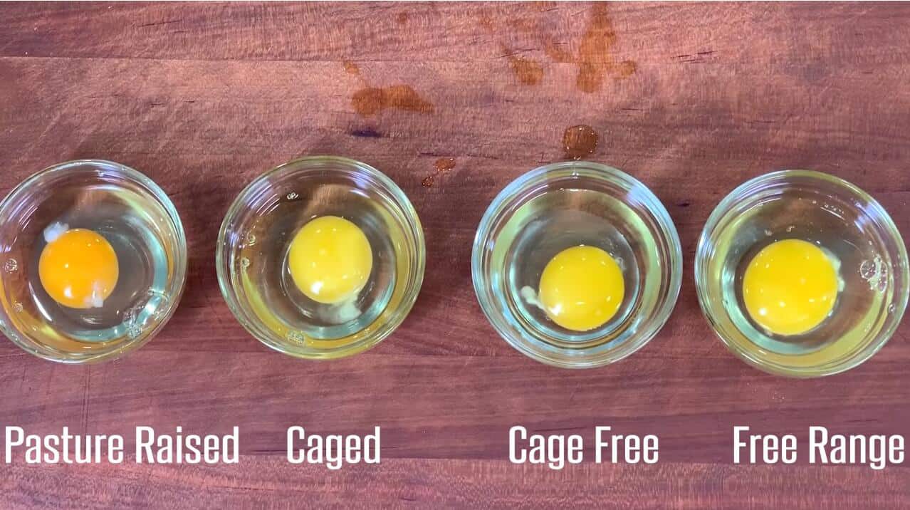 cage-free-vs-free-range-eggs-don-t-waste-your-money