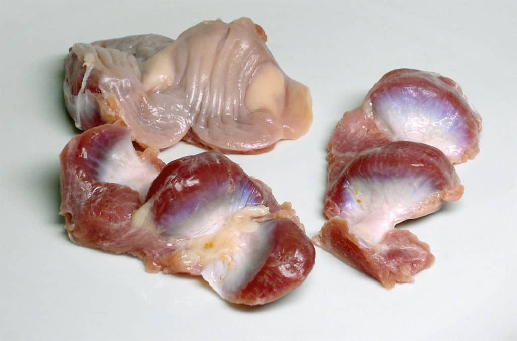 What Are Chicken Gizzards Nutrition And Taste,Beef Chart