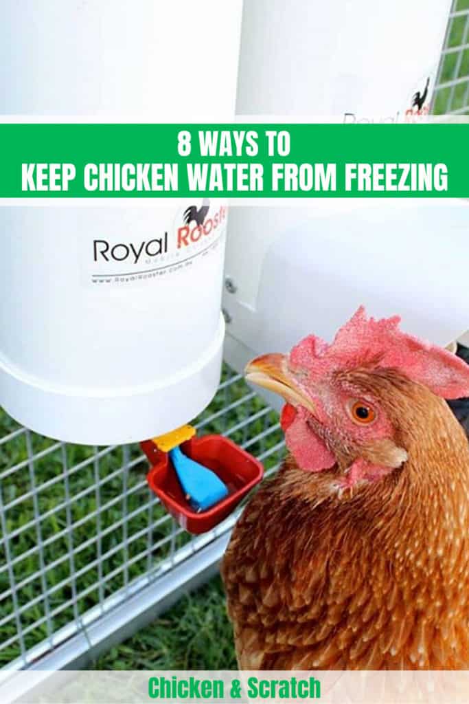 8-ways-to-keep-chicken-water-from-freezing