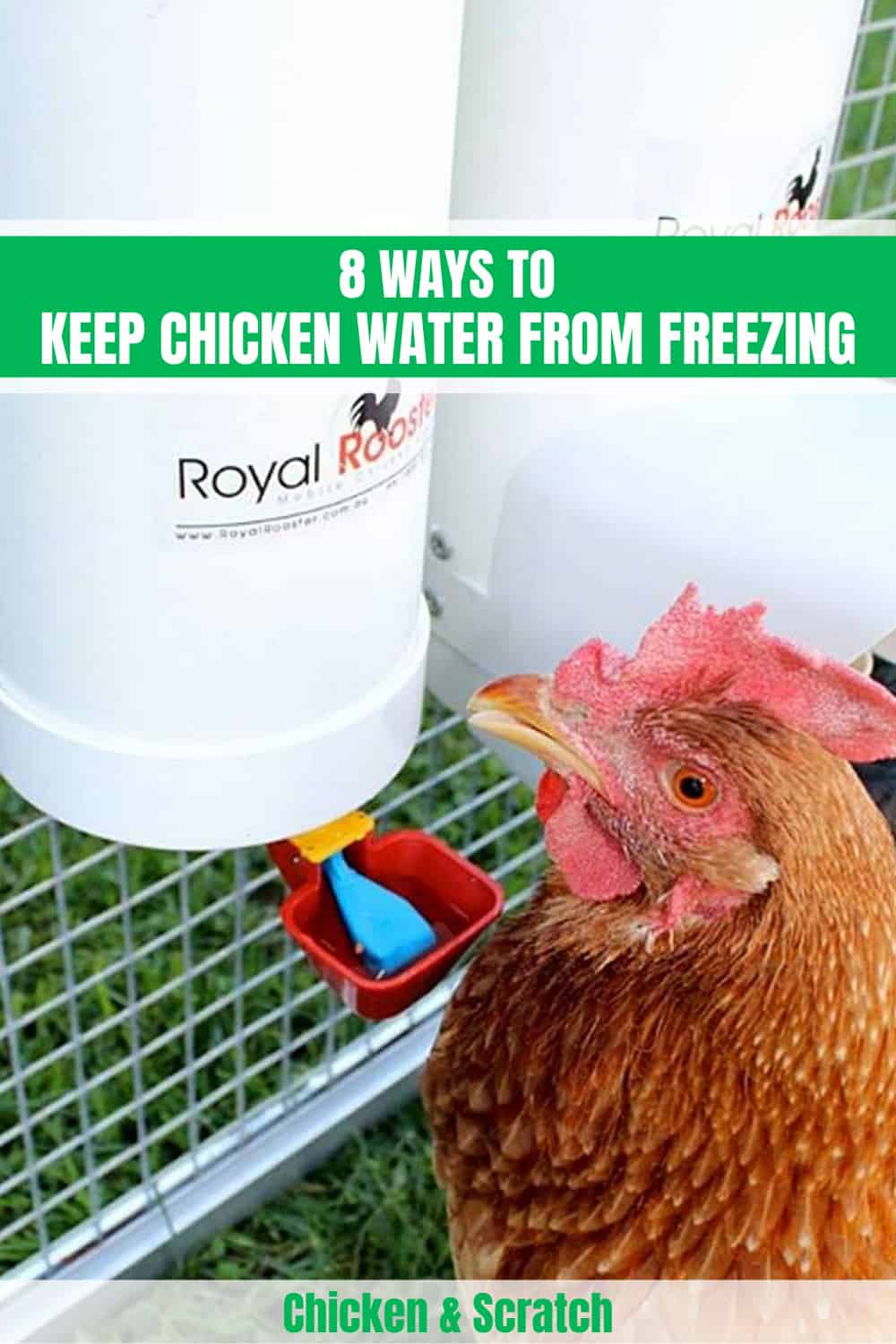 how to keep chicken water from freezing