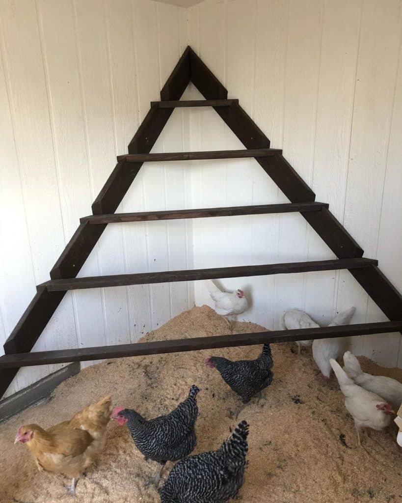 how to make a chicken roost