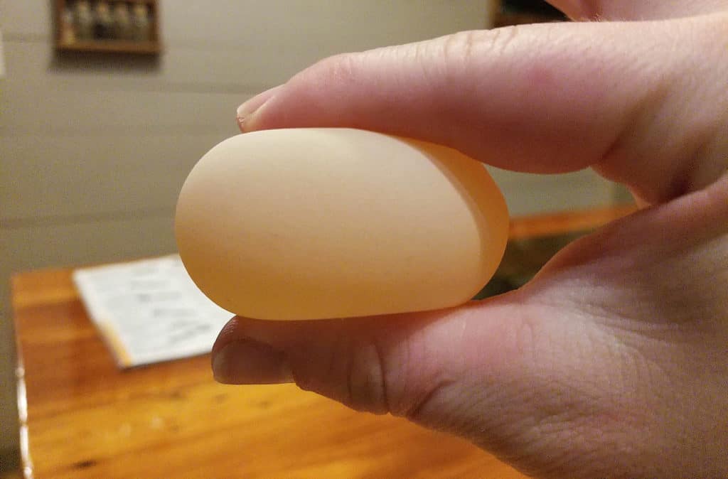 trứng vỏ mềm