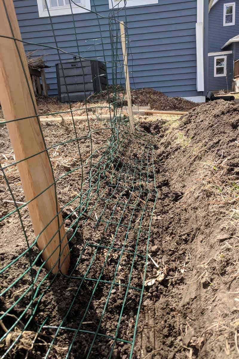 underground Chicken Wire