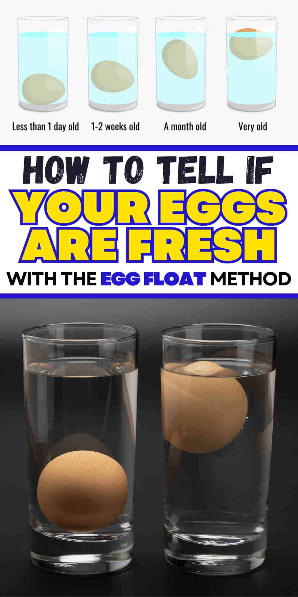 Egg Float Test: Tell if Your 'Expired' Eggs Are Still Good to Eat