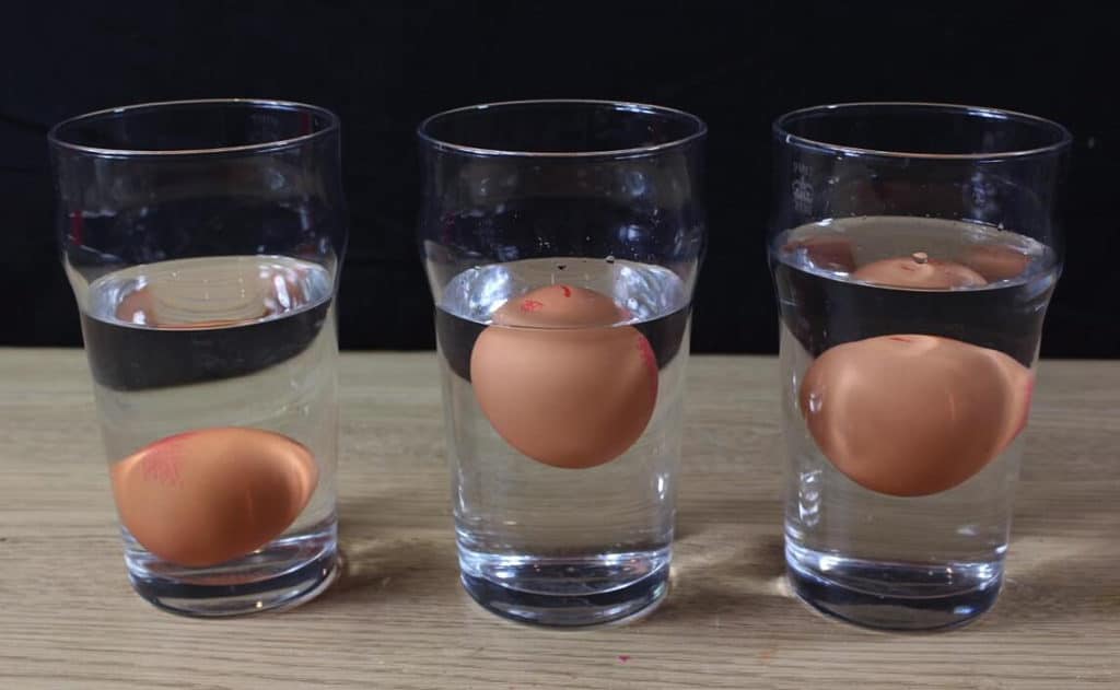 egg float test