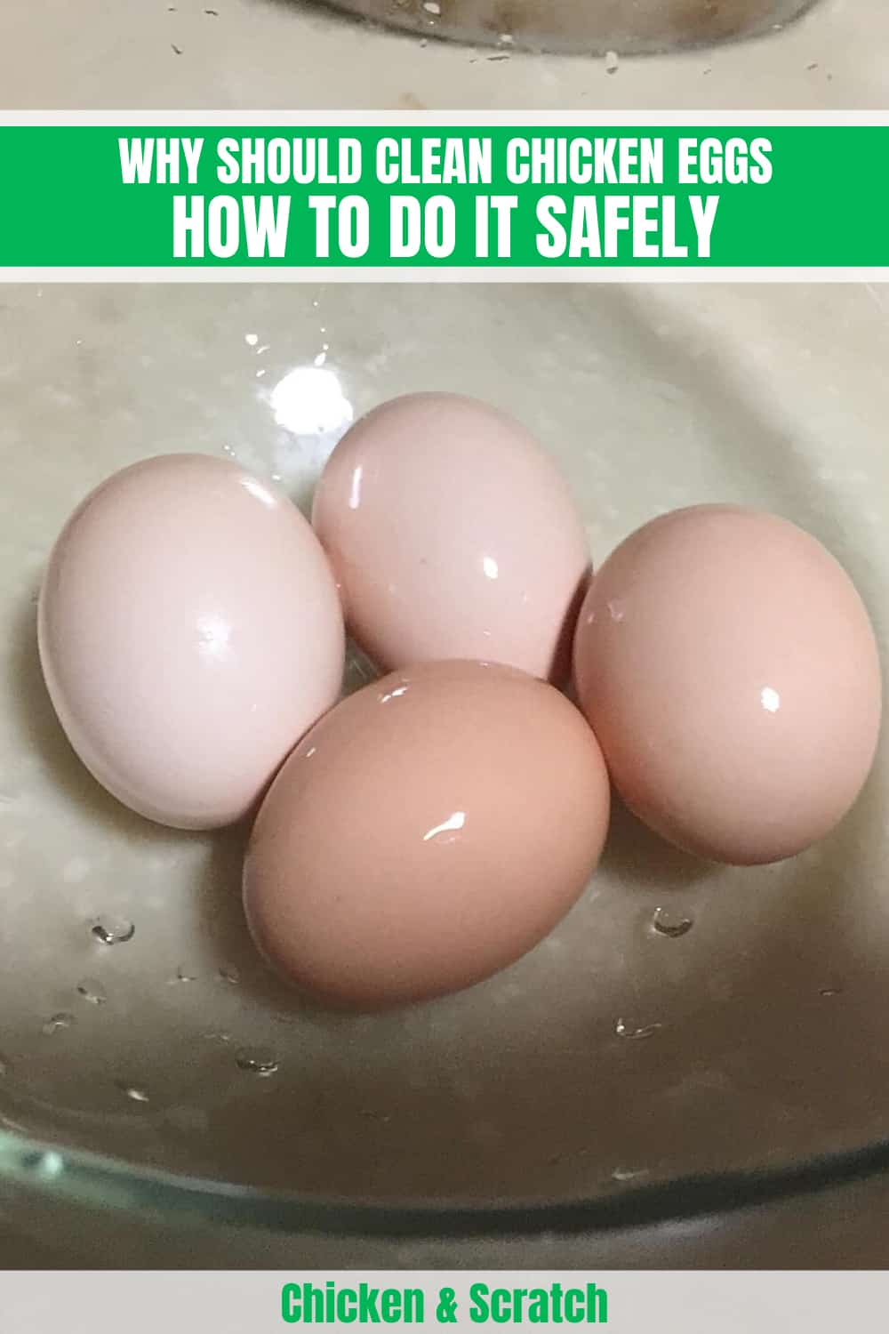 how to clean chicken eggs