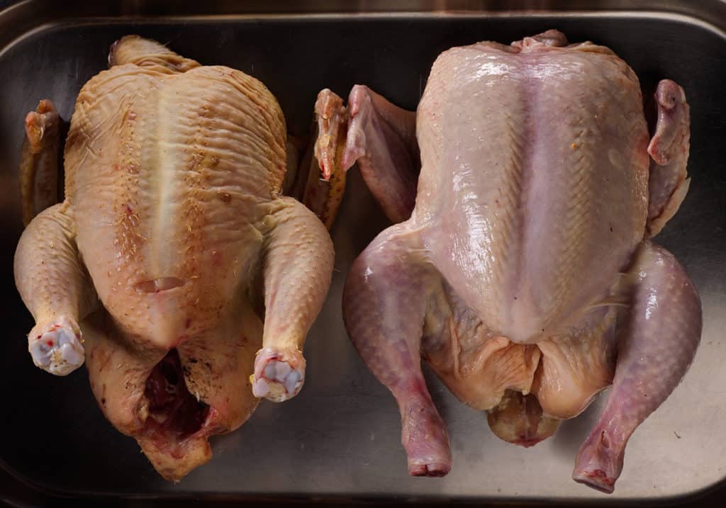 How to Tell if Chicken Is Bad: Signs and What to Look For