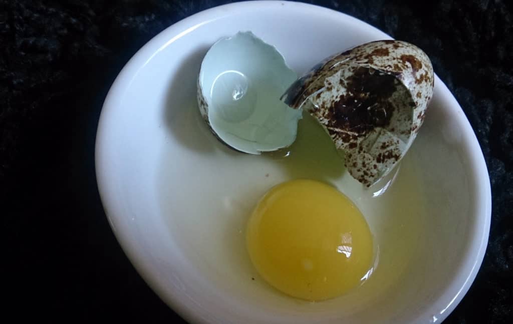 lợi ích của trứng cút