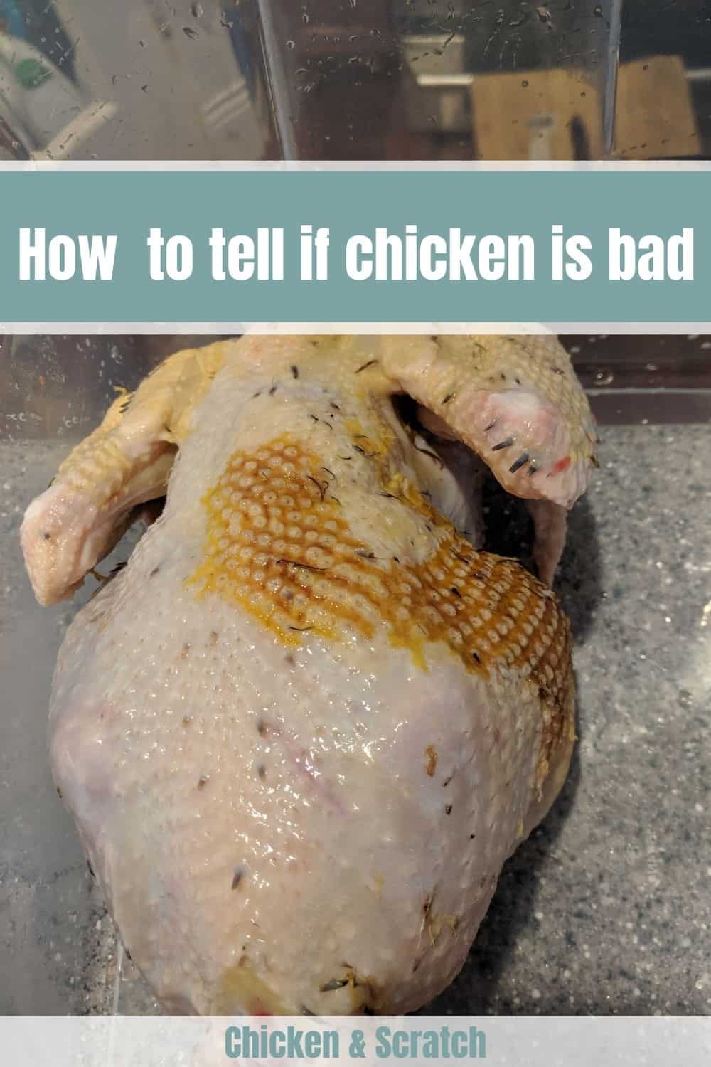 6 Ways to Tell If Chicken Is Bad