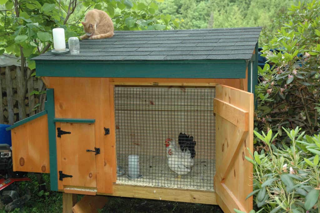 best chicken coops for sale