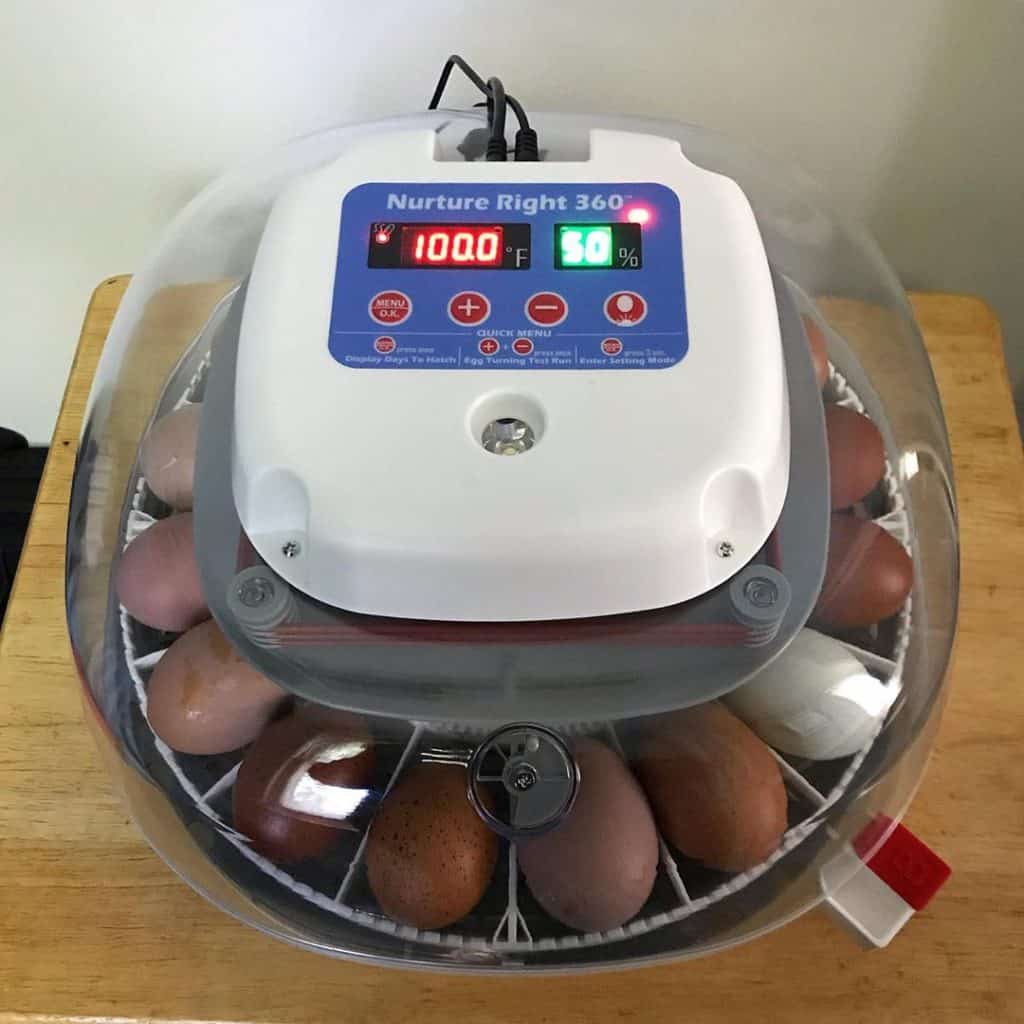 best egg incubator brands brinsea