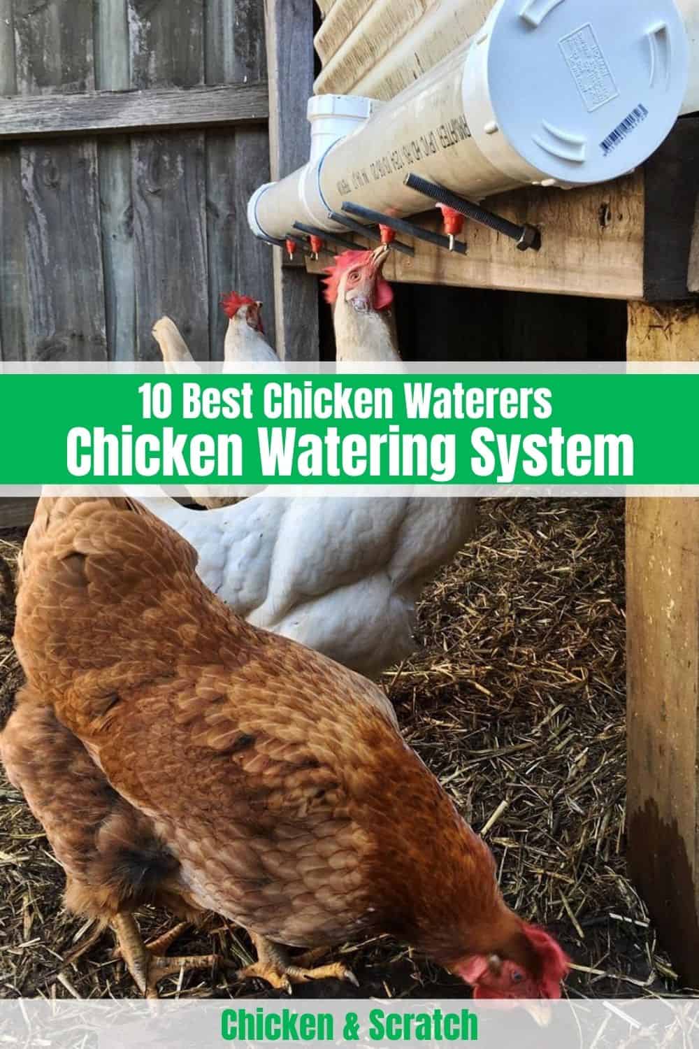Best Chicken Waterer