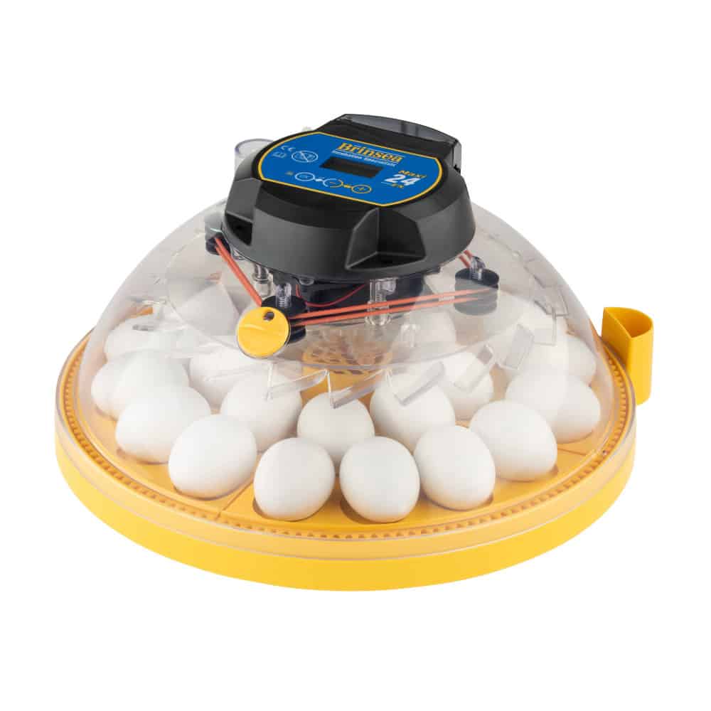 Brinsea 7-Egg Mini Automatic Egg Incubator