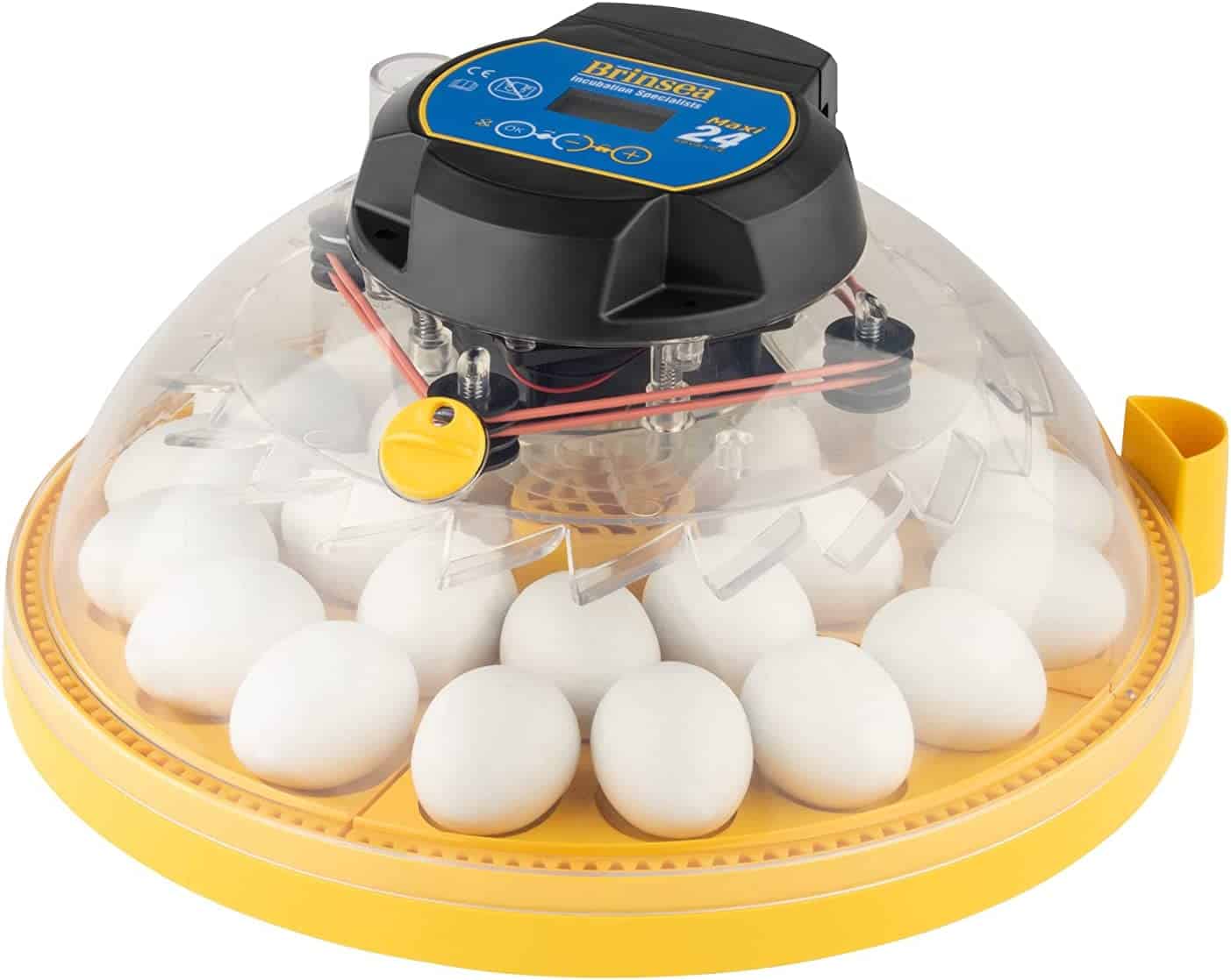 Brinsea Products 24-Egg Chicken Incubator