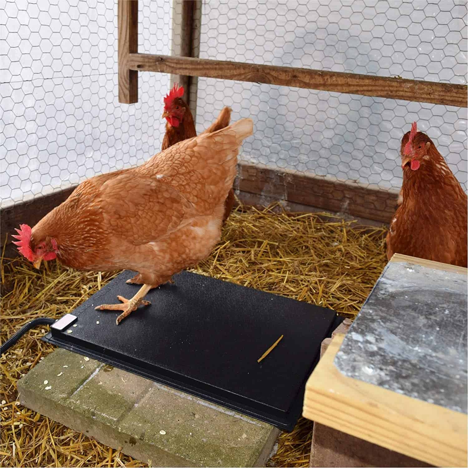 Farm Innovators 60W Heated Chicken Mat