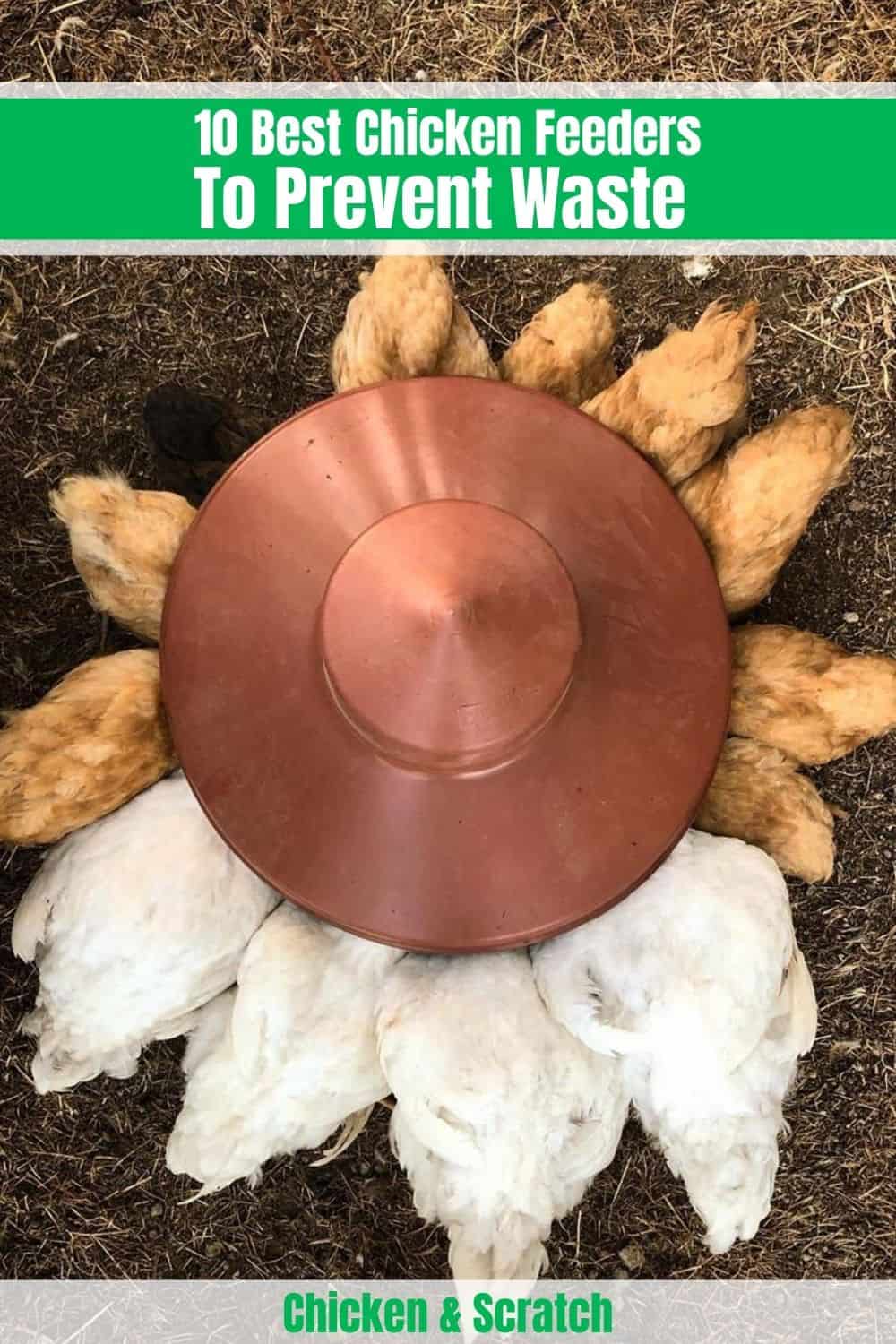 best chicken feeder to prevent waste