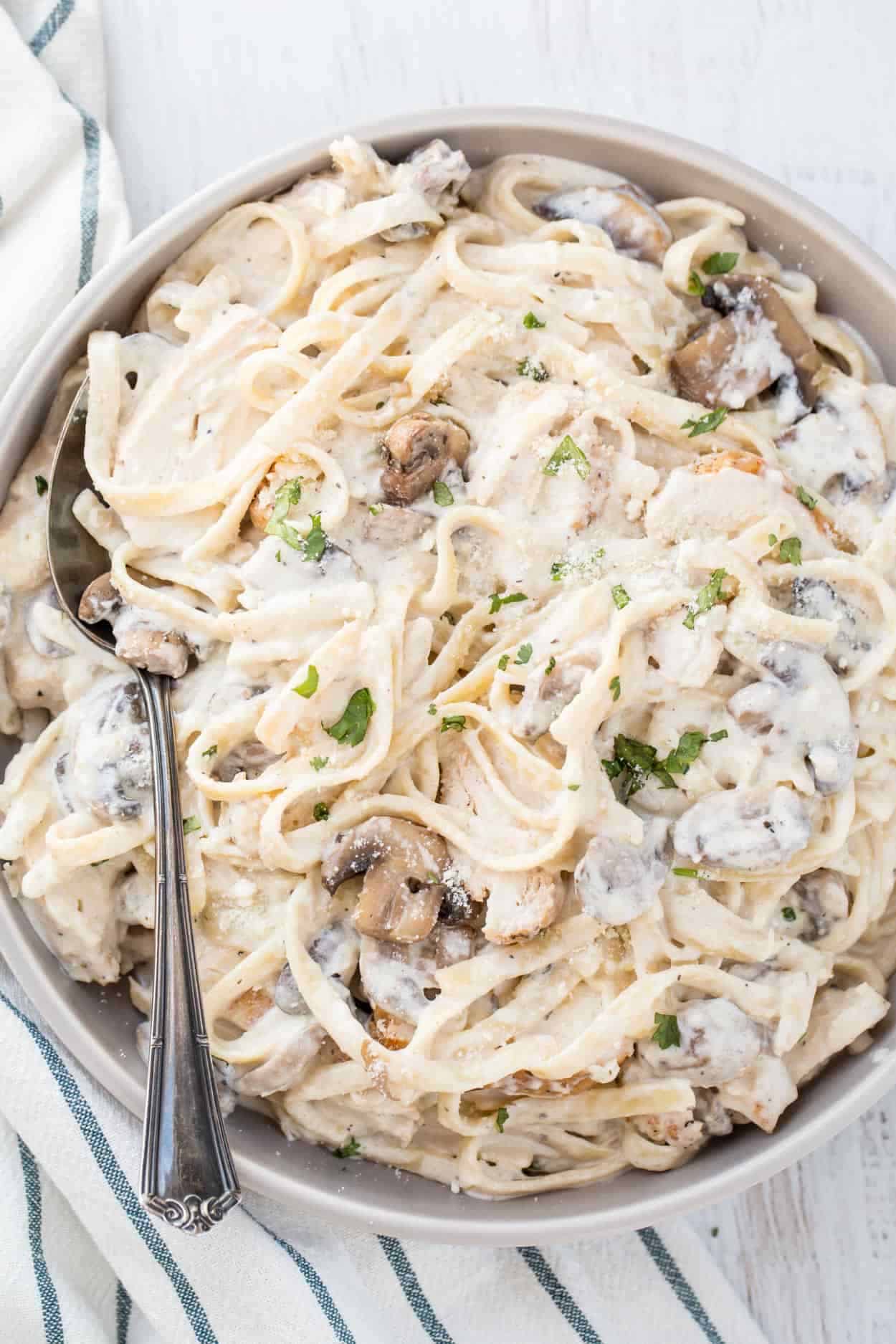 Chicken Alfredo