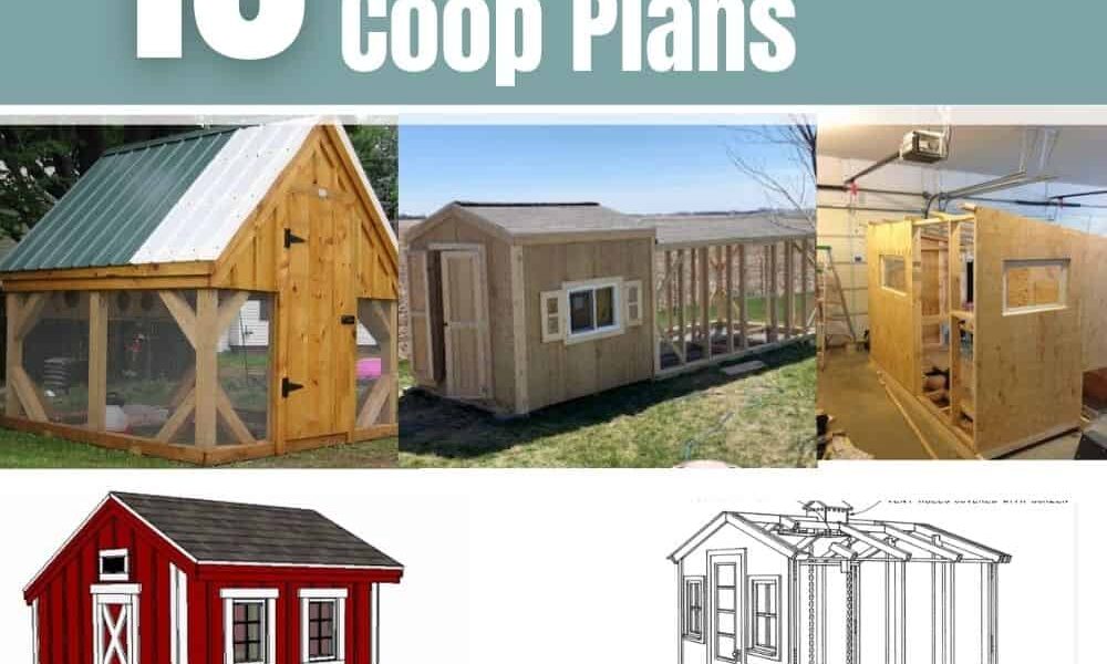 10 Free 8×8 Chicken Coop Plans You Can DIY This Weekend