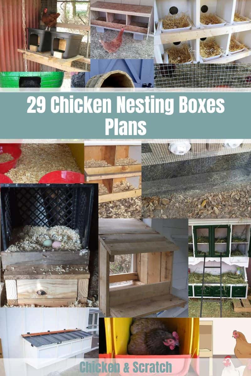 Chicken Nesting Boxes ideas