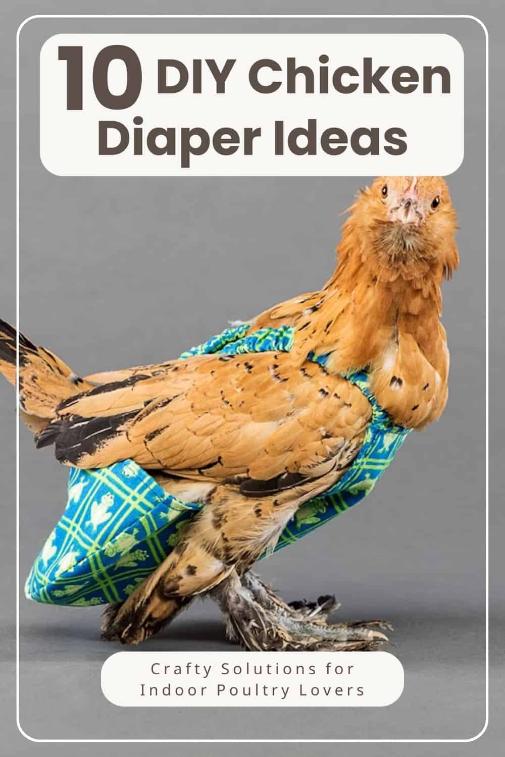 DIY Chicken Diaper