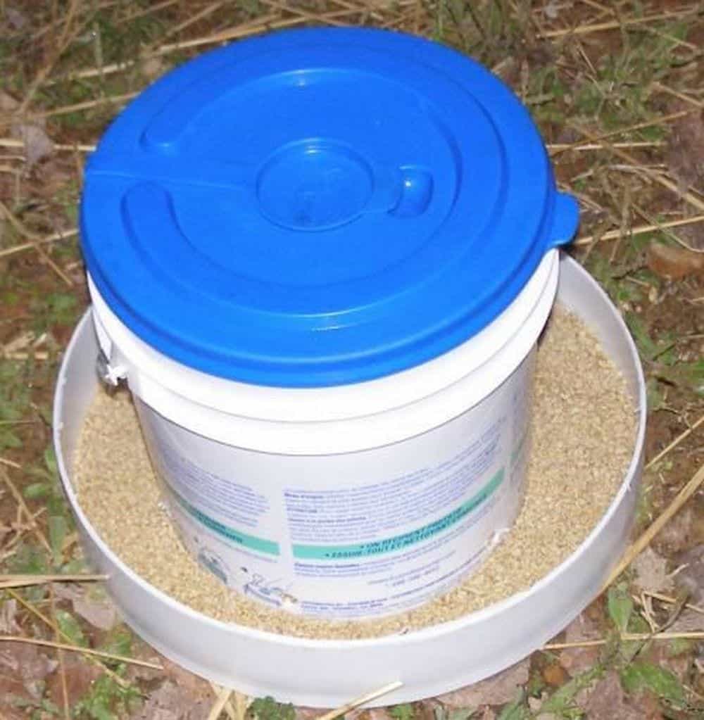 bucket chicken feeder