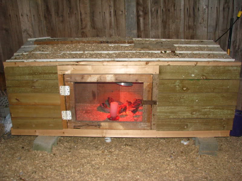 chick chicken brooder homemade