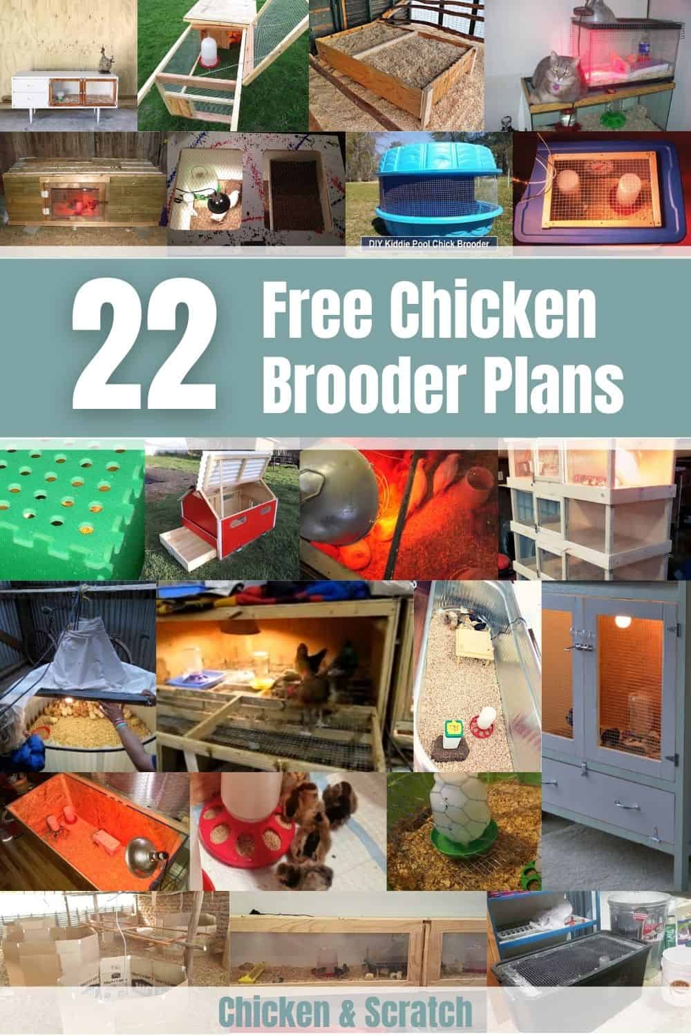 chicken brooder box