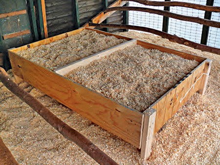 chicken brooder plans