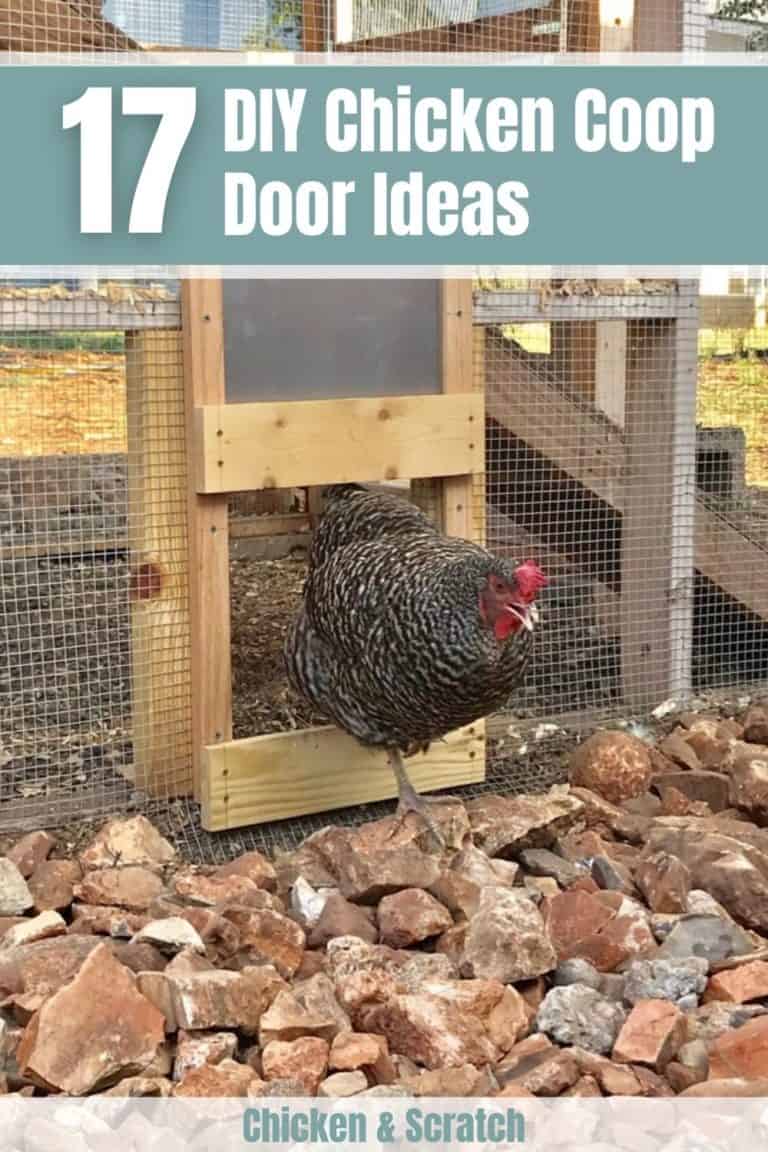 18 DIY Chicken Coop Door Ideas