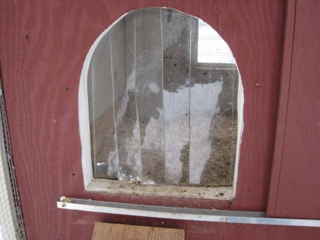 chicken coop doors images