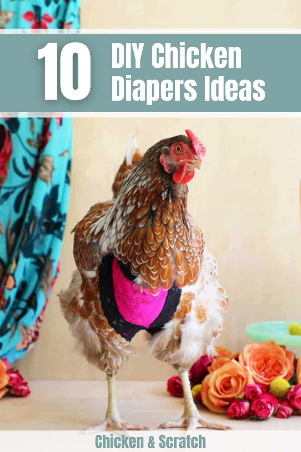 chicken diapers