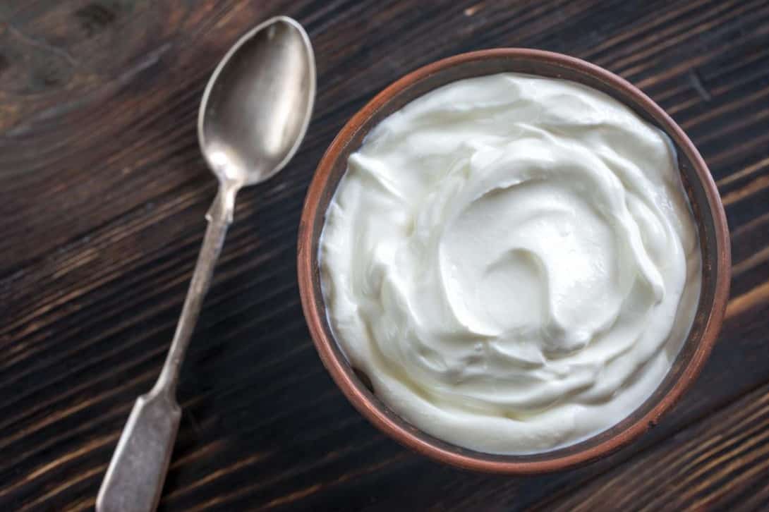 chicken eat Greek yogurt