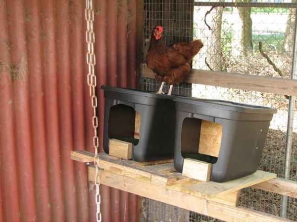 chicken nesting box plans