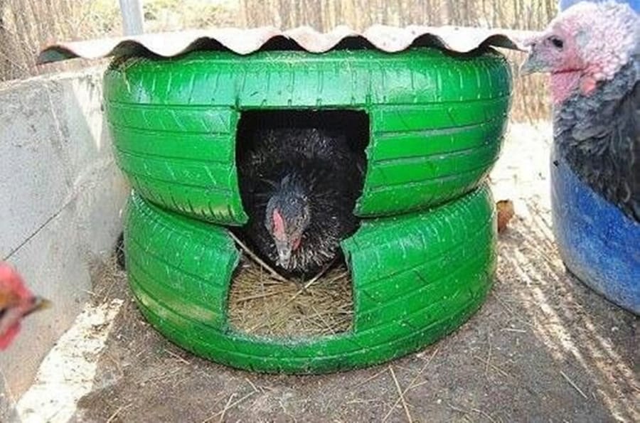 chicken nesting box