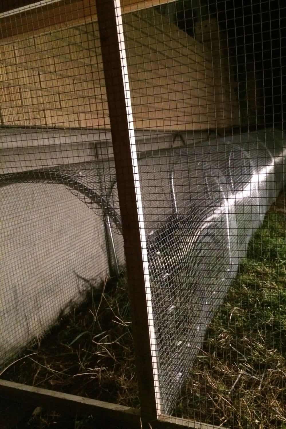 chicken tunnel around garden