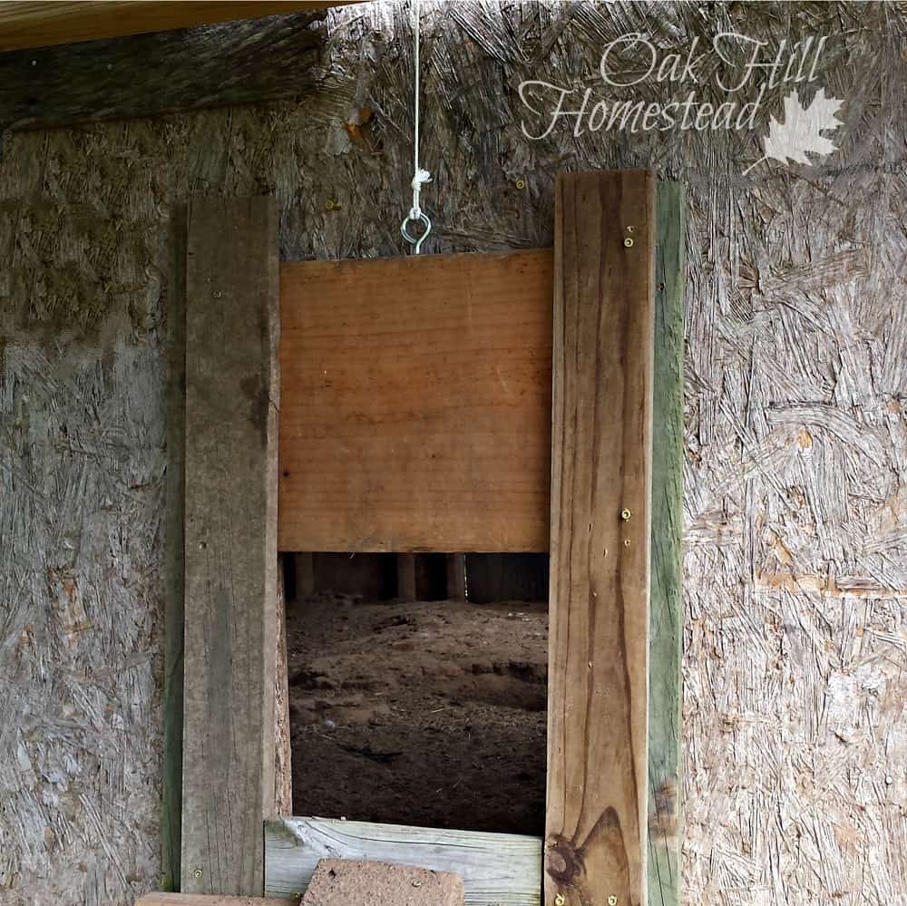 diy chicken coop door