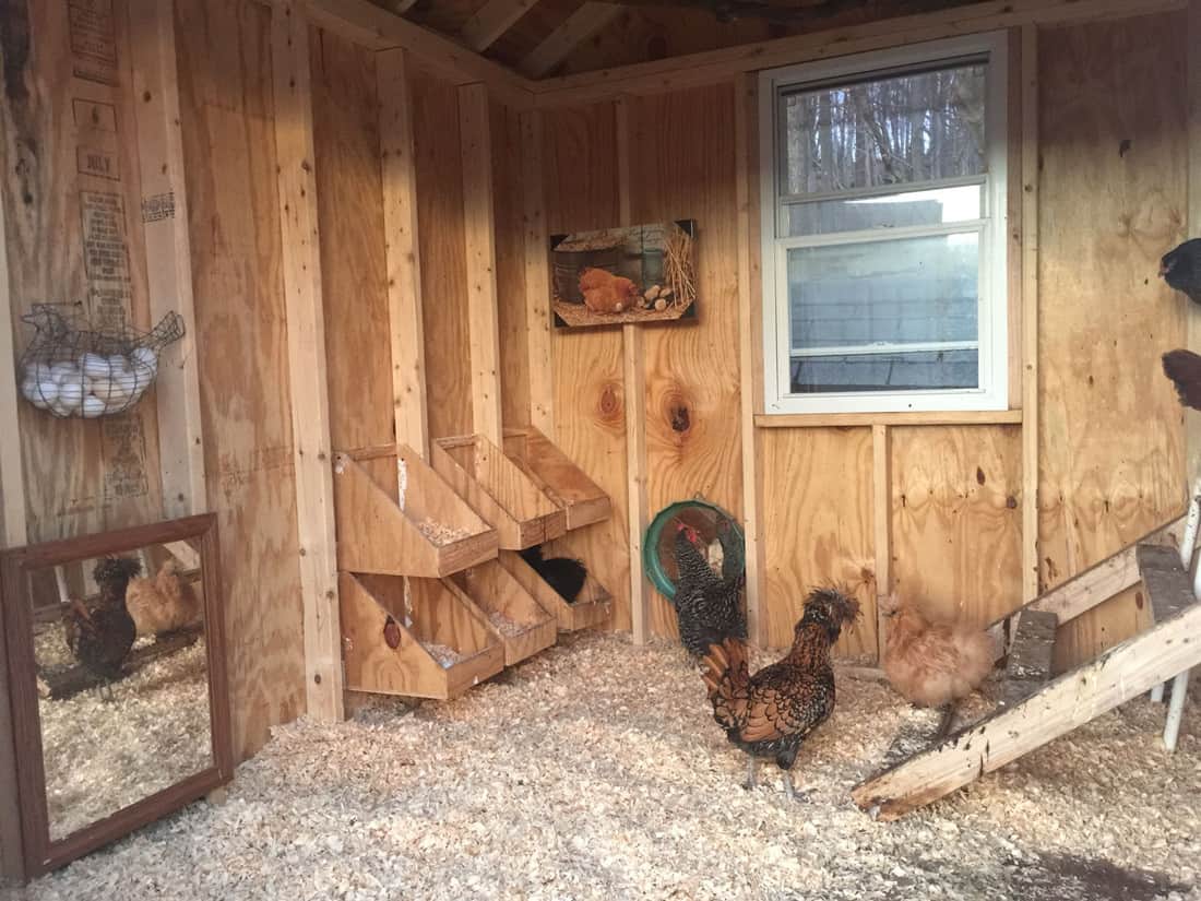 Free X Chicken Coop Plans You Can Diy This Weekend