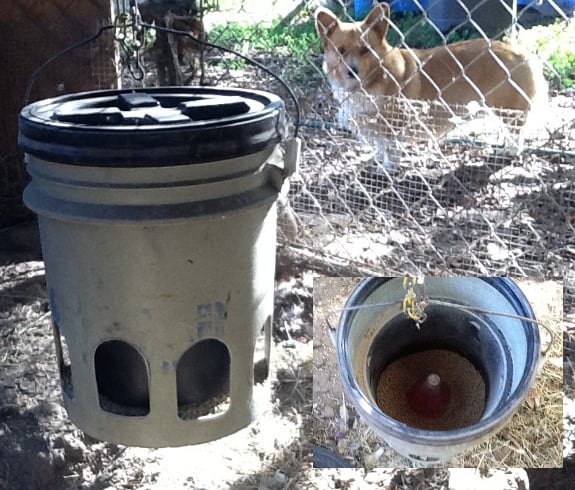 diy chicken waterer 5 gallon bucket