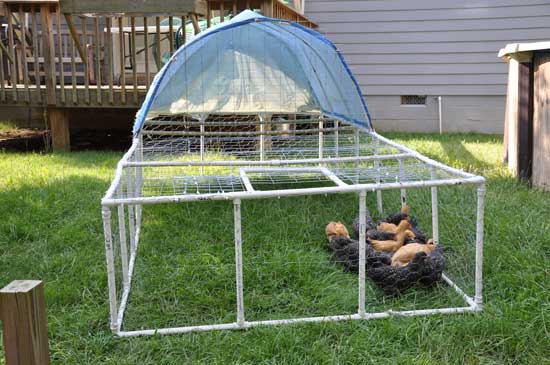 how to build a pvc chicken coop