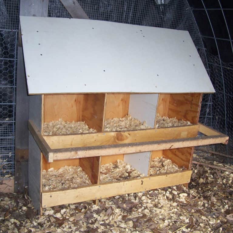 29 Chicken Nesting Boxes Plans You Can DIY This Weekend