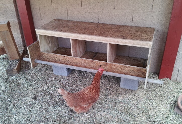 29 Chicken Nesting Boxes Plans You Can Diy This Weekend