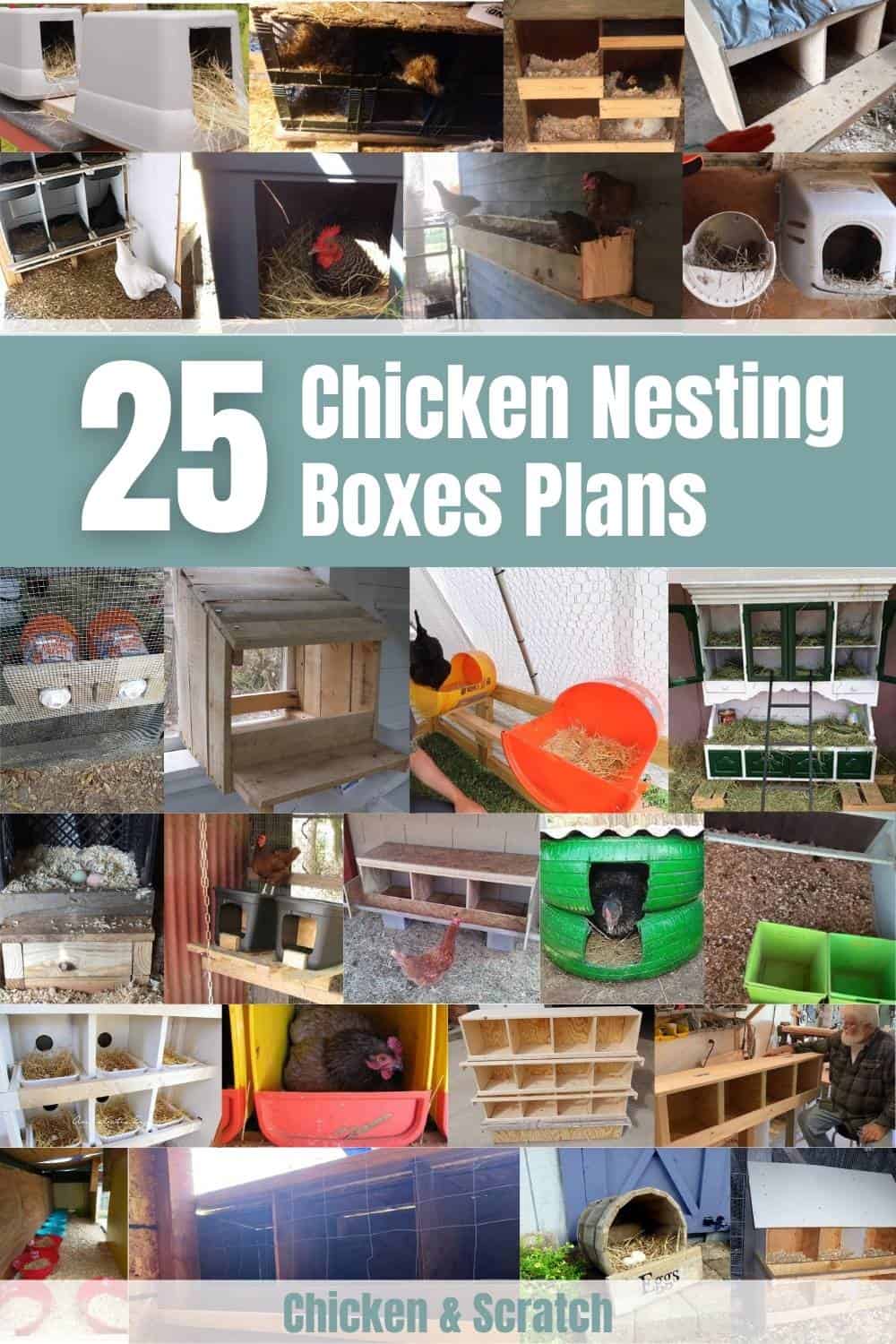 nesting boxes for chickens