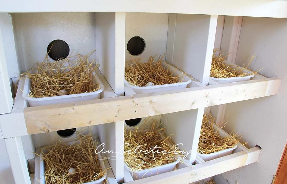 29 Chicken Nesting Boxes Plans You Can DIY This Weekend