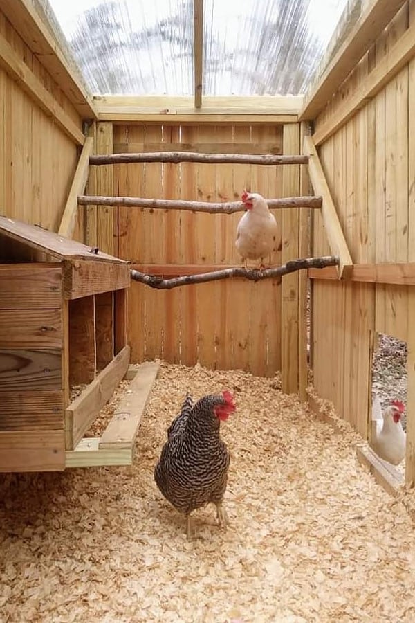 10 Free 8x8 Chicken Coop Plans You Can DIY This Weekend - PDf Chicken Coop Plans