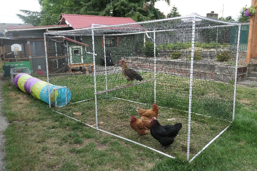 pvc chicken coops