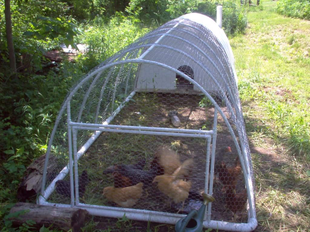 pvc chicken tractors