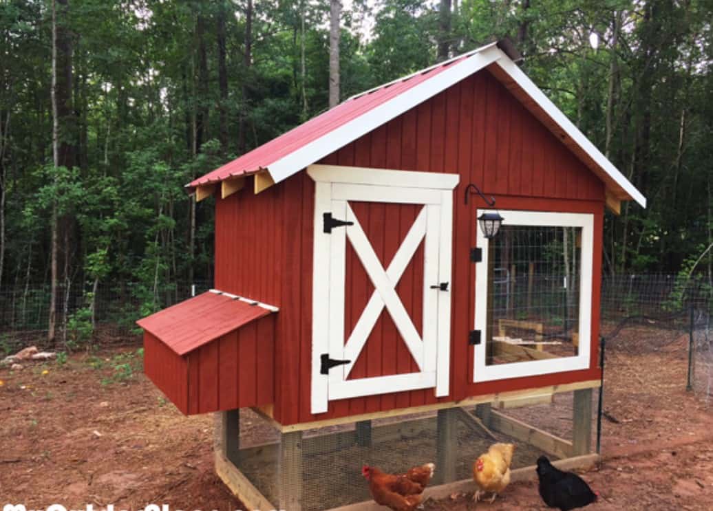 4 x 8 chicken coop