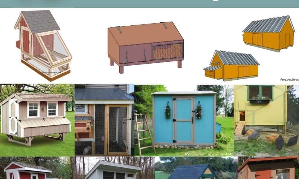 19 Backyard 4×8 Chicken Coop Plans You Can DIY