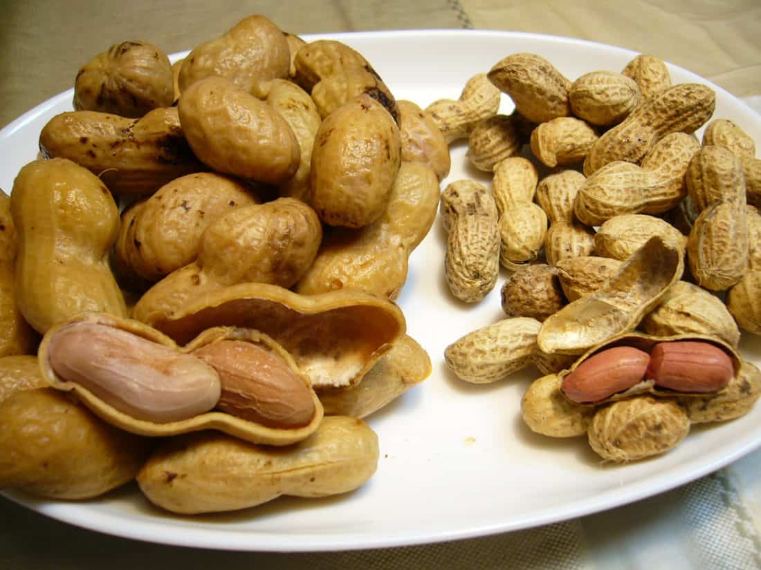 Are Boiled Peanuts Safe For Your Chickens
